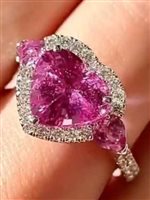 Ringe Crivelli Dame Classic in Rosègold Zaffiro 773587C - 773587C